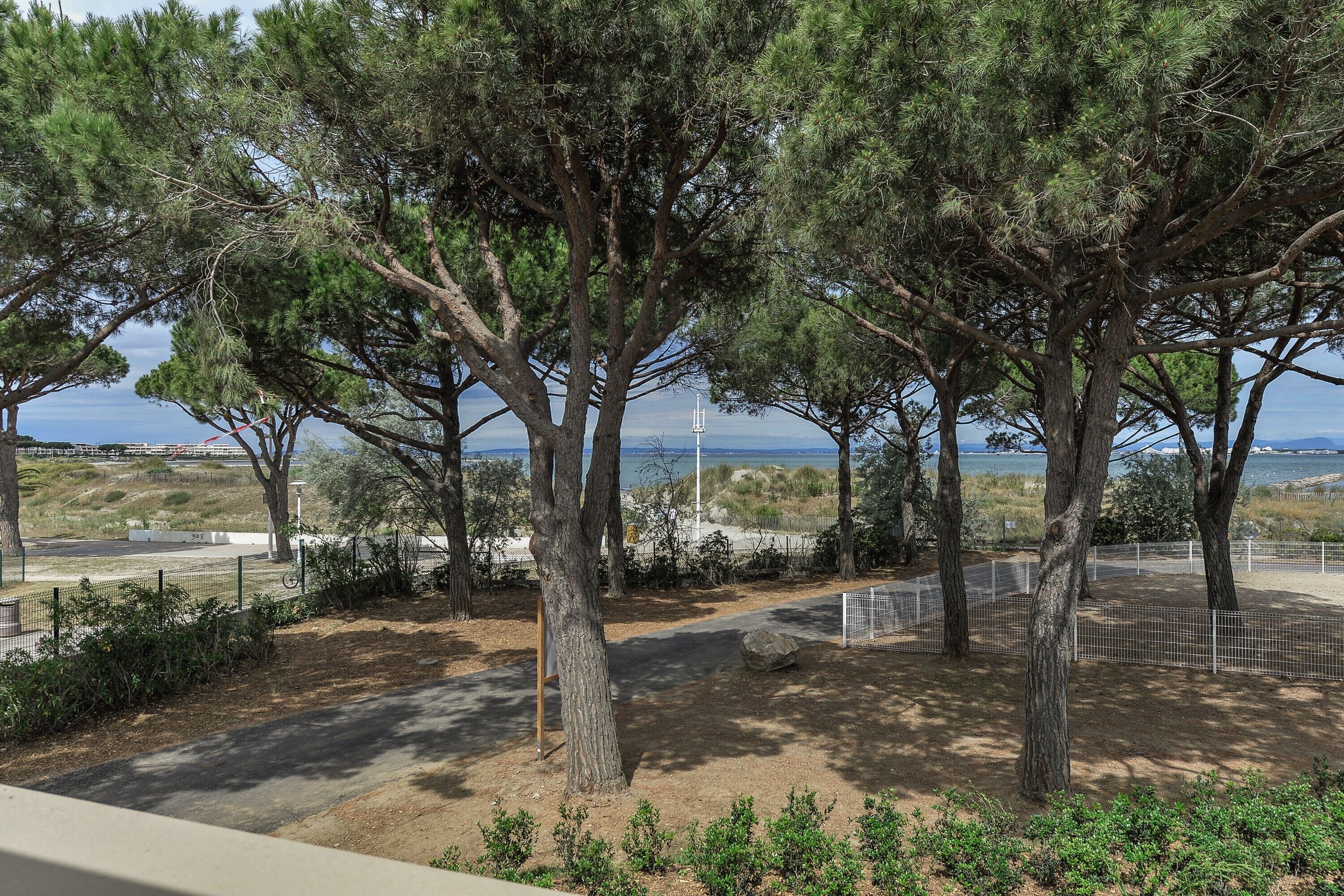 Vue d’un parc côtier, avec des arbres et un sentier menant à la mer.