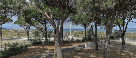 Vue d’un parc côtier, avec des arbres et un sentier menant à la mer.