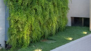 A modern building with a large green ivy-covered wall, a tiled pathway, and a clear view of adjacent buildings. - Hotel Annamar Premium (João Pessoa)