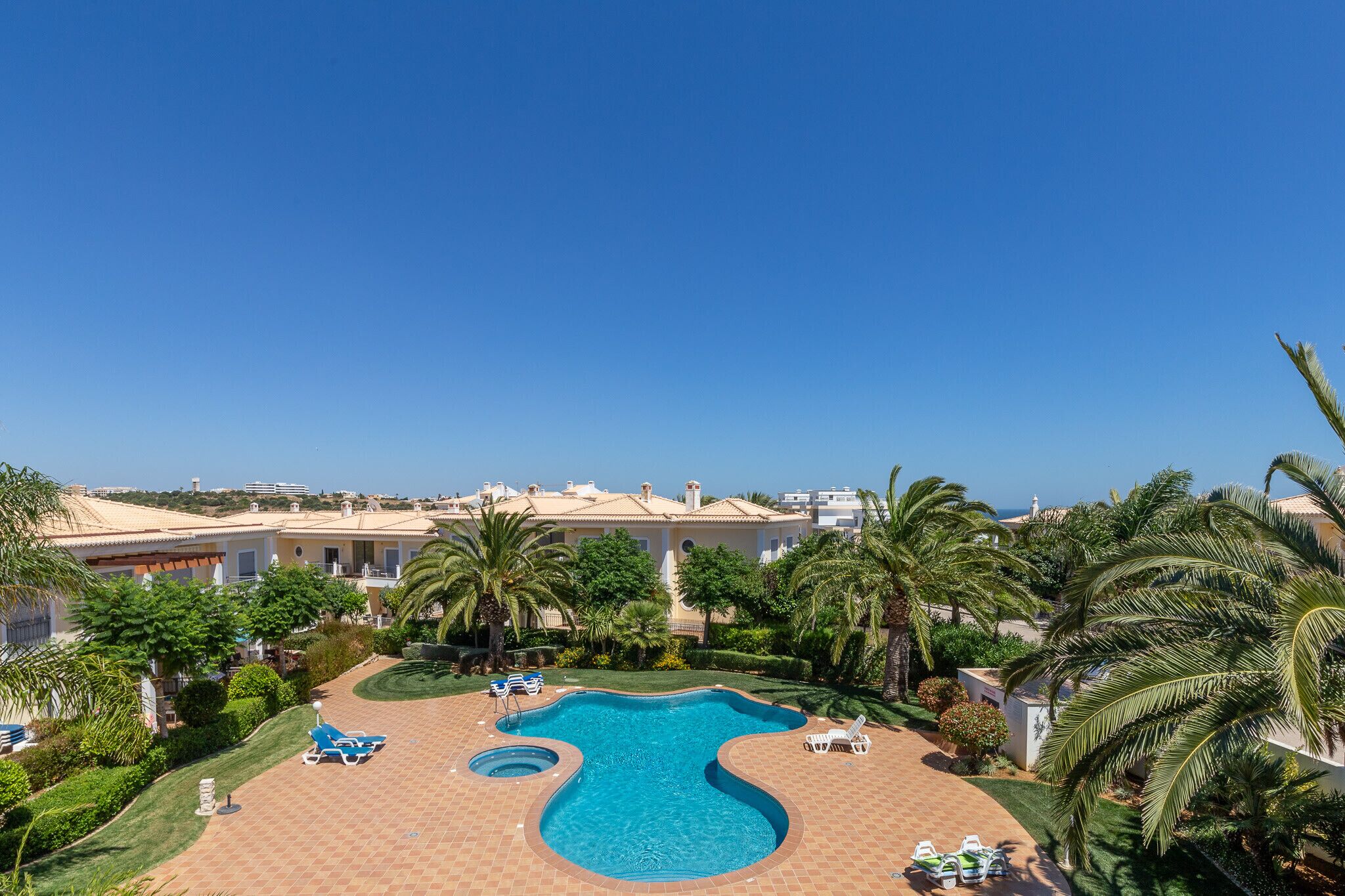 A swimming pool surrounded by palm trees and lounge chairs, with a view of a coastal area and buildings in the background.