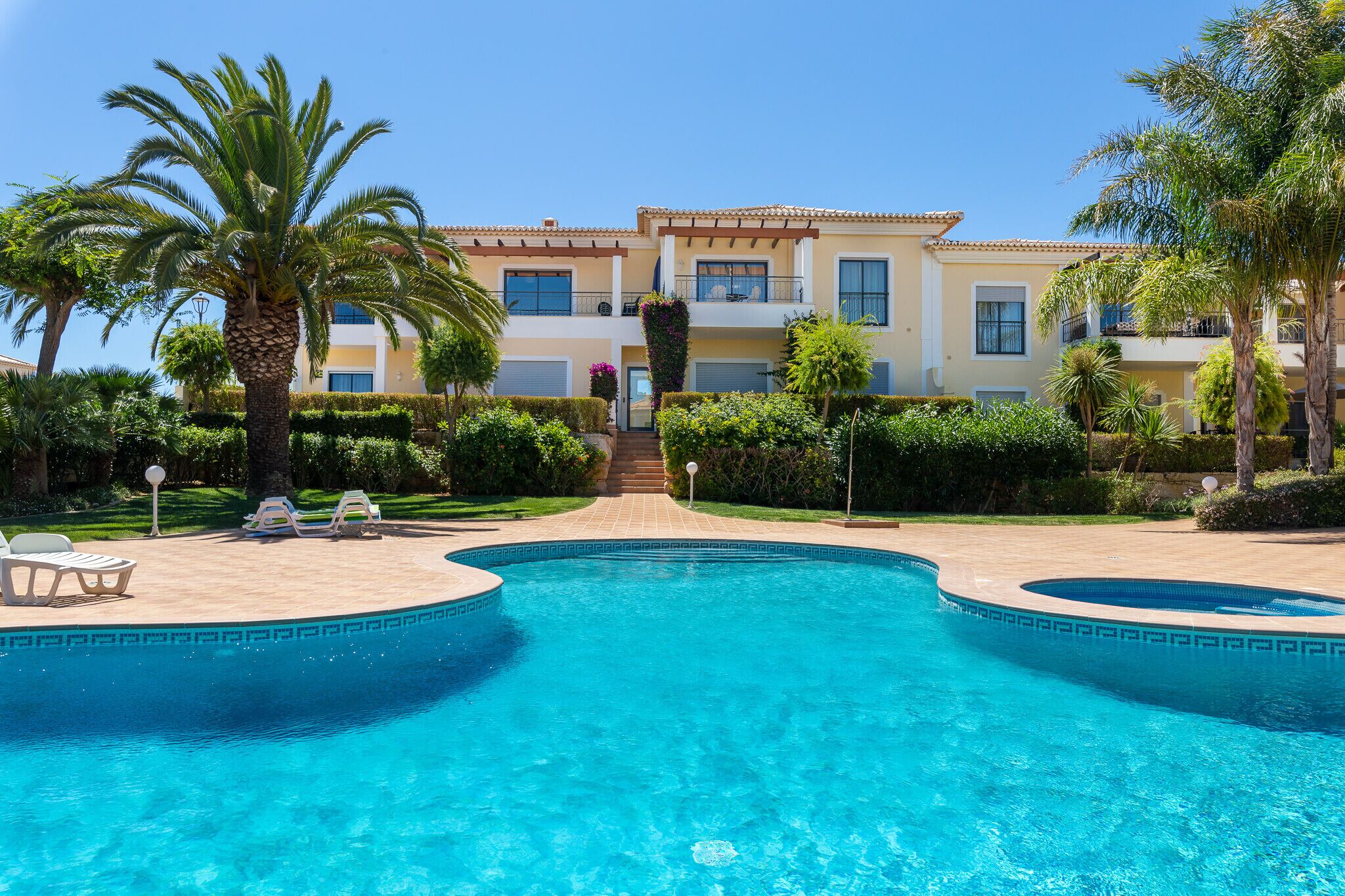 A swimming pool with two lounge chairs and a palm tree.
