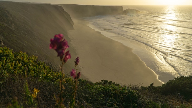 A coastal landscape with cliffs and ocean waves.