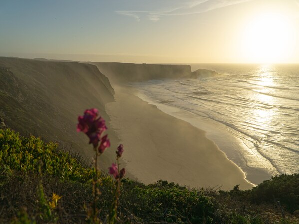 Plage à proximité