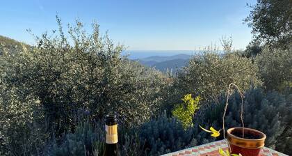 Modern architect's house in olive grove with sea views