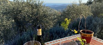 Modern architect's house in olive grove with sea views