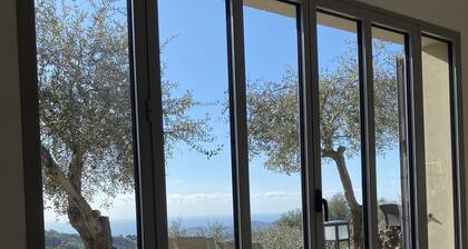 Modern architect's house in olive grove with sea views