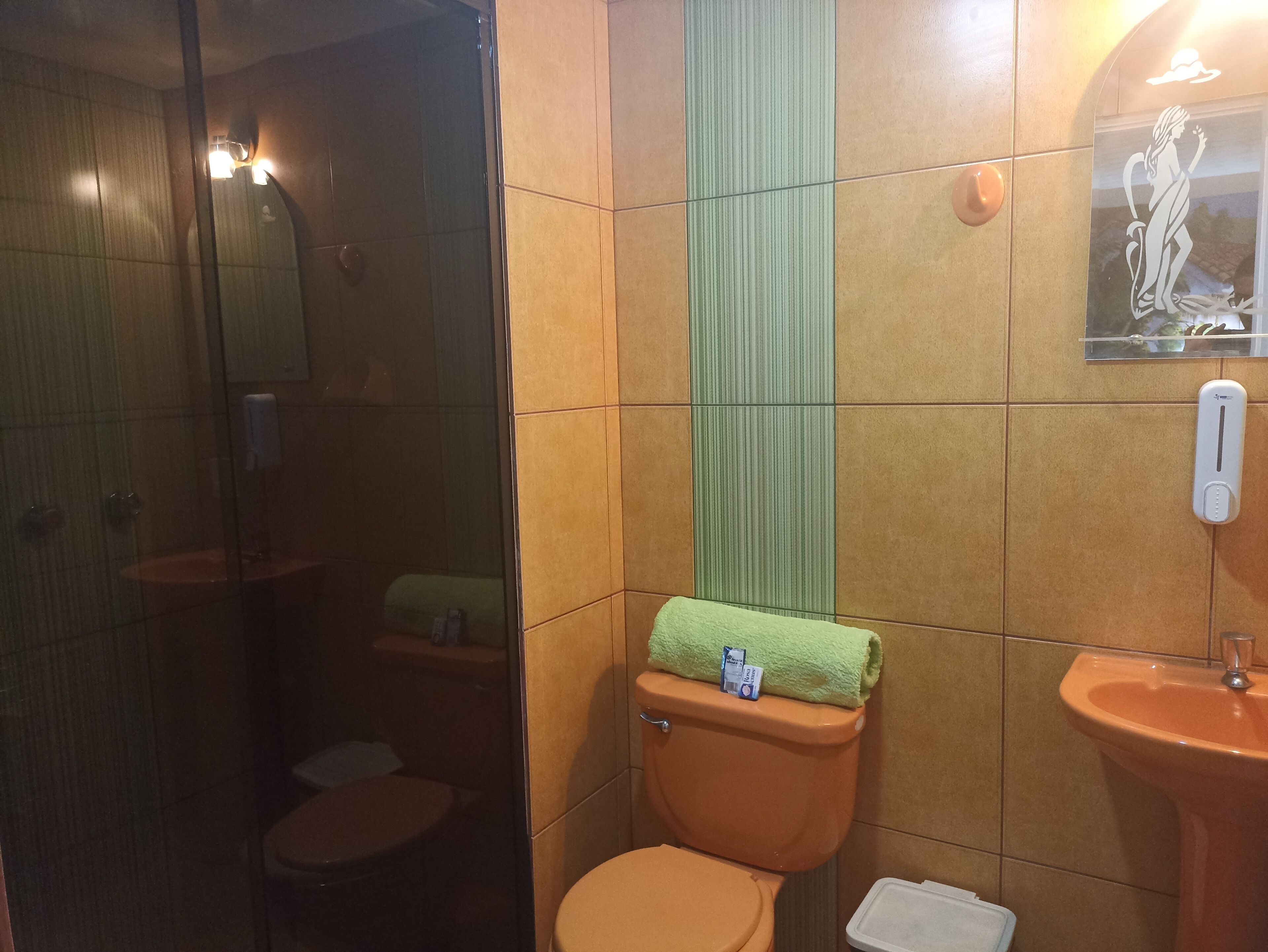 deluxe double or twin room | bathroom | shower, towels