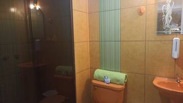 Deluxe Double or Twin Room | Bathroom | Shower, towels