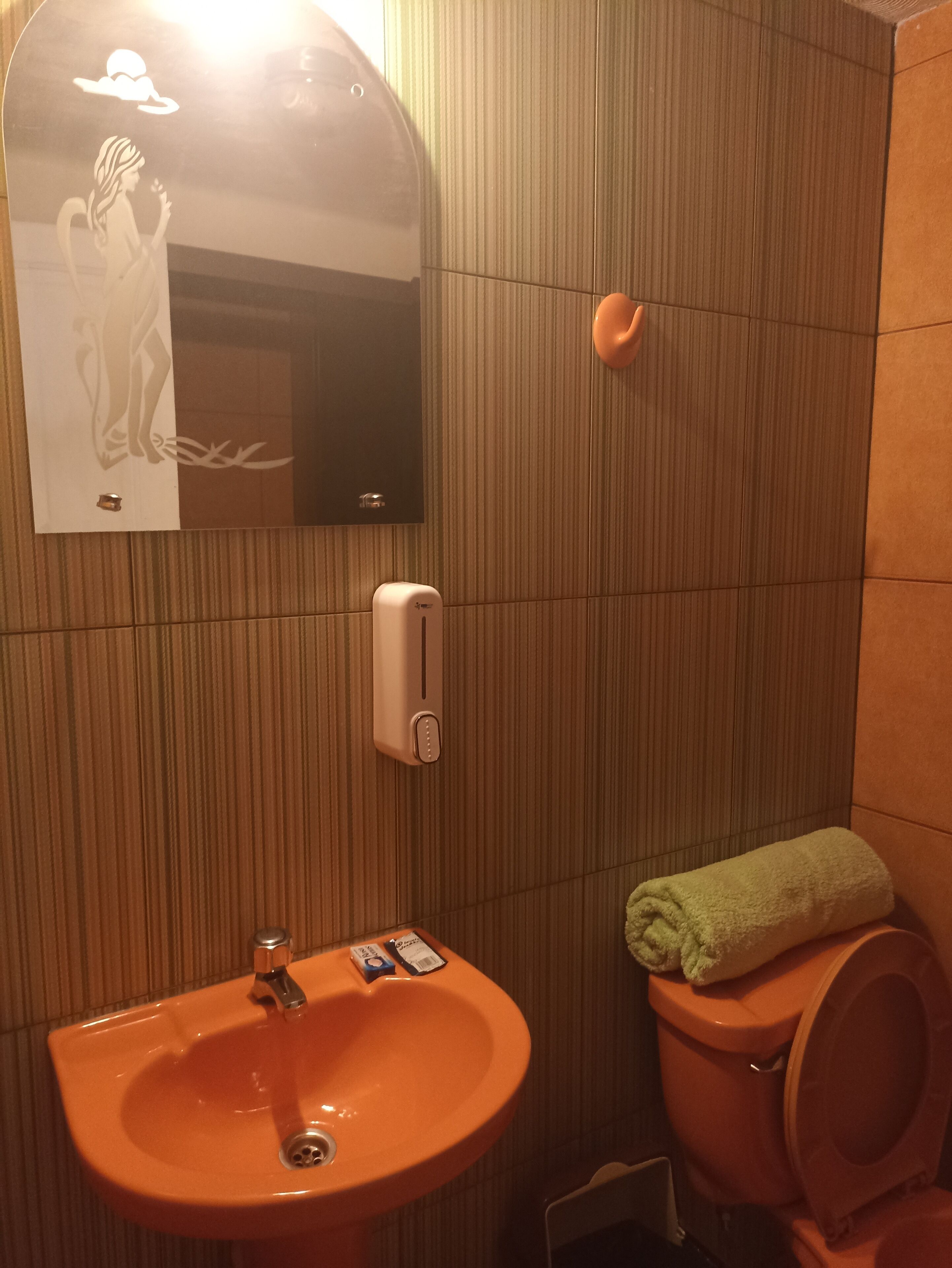 deluxe double or twin room | bathroom | shower, towels