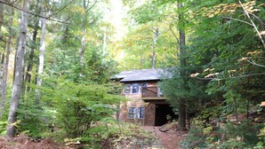 Une cabane entourée d’une forêt dense, dotée d’une terrasse visible et d’une grande fenêtre.