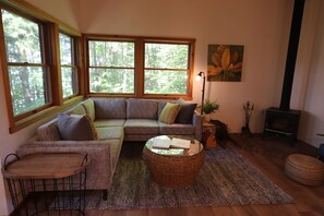 Smart TV, caminetto, libri, studio