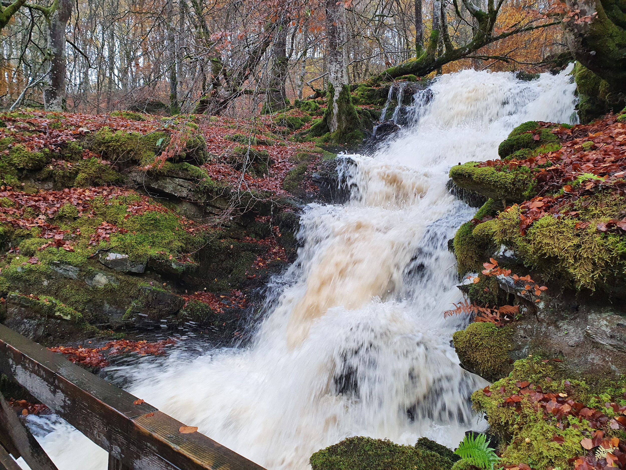 A waterfall cascading over moss-covered rocks with a wooden bridge in the foreground.