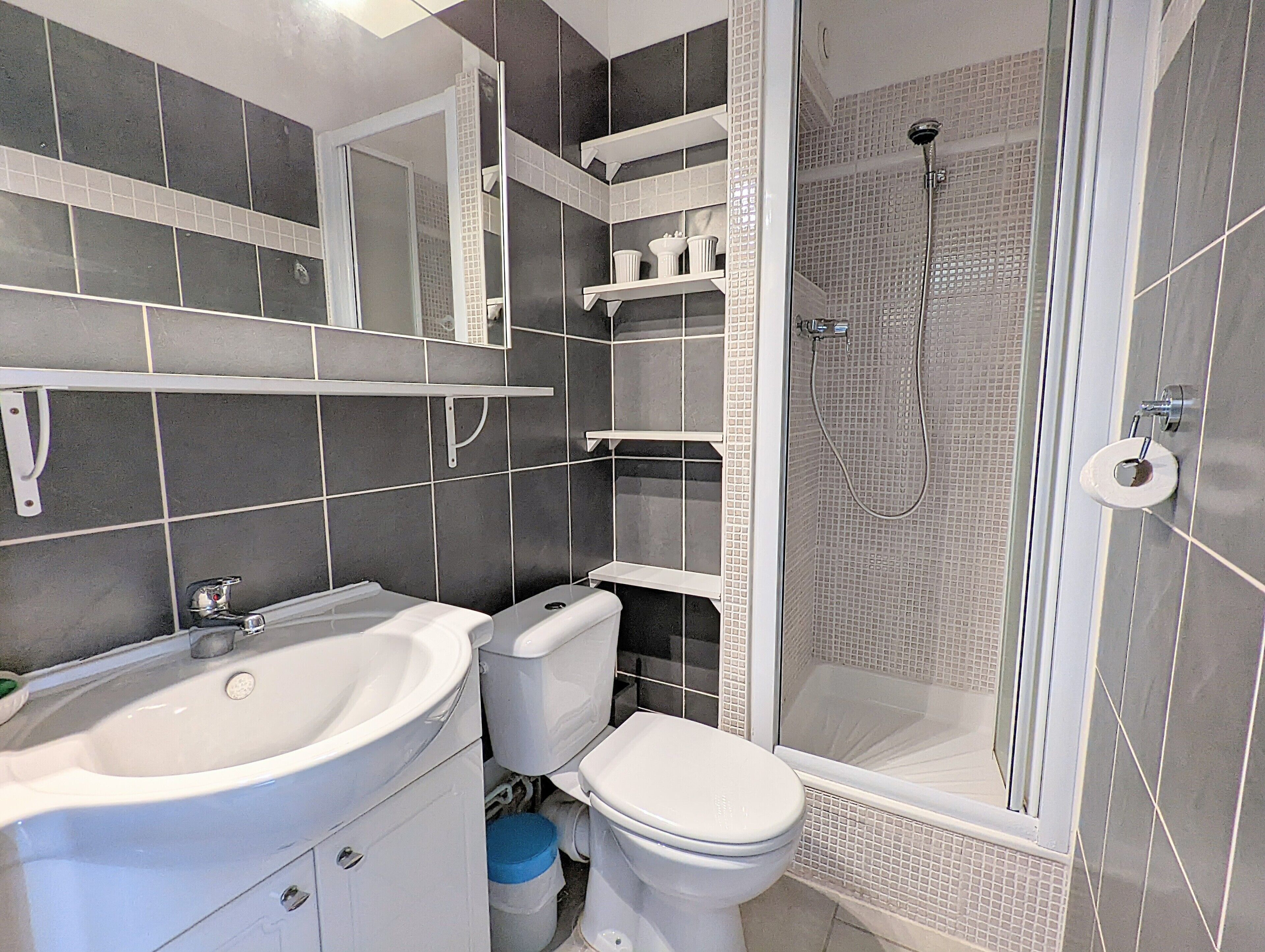 Shower, hair dryer, toilet paper