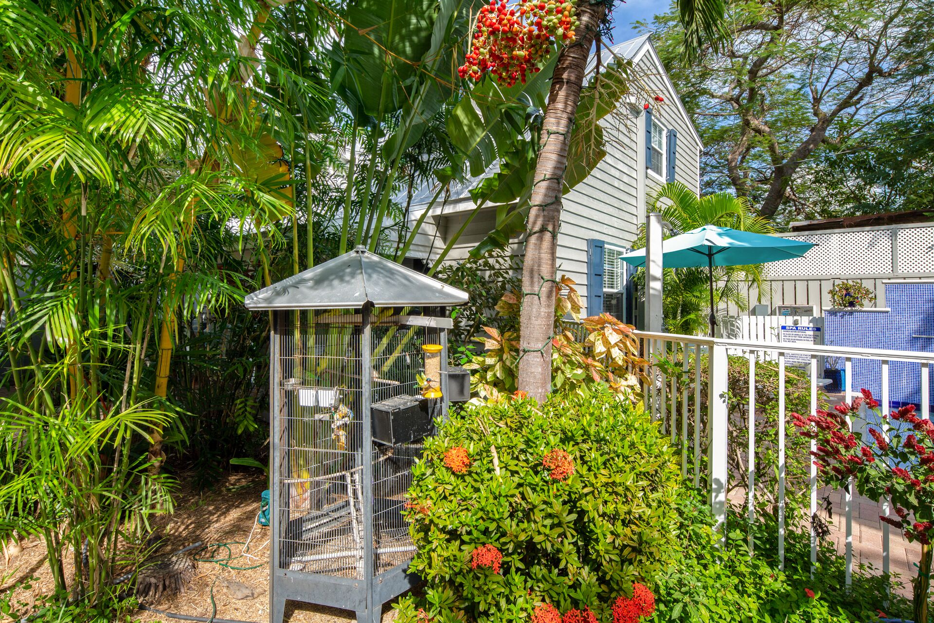 A garden with a birdcage, a house, and a blue umbrella.
