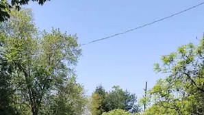 Un espacio al aire libre con césped, mesas de picnic y un hogar de piedra.