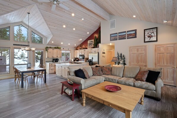 TV, fireplace, DVD player, books