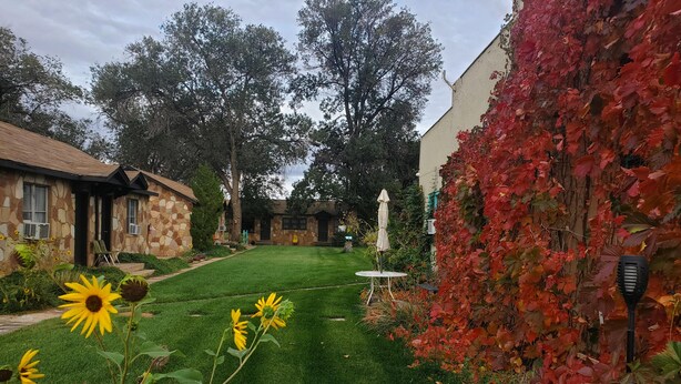 A well-maintained lawn with a stone building, a wooden fence, and a tree with red leaves.