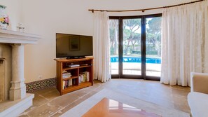 TV