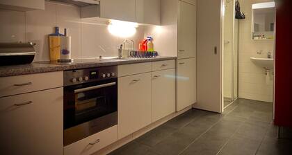 The playroom on Lake Constance - kitchen - office - dining area - lounge
