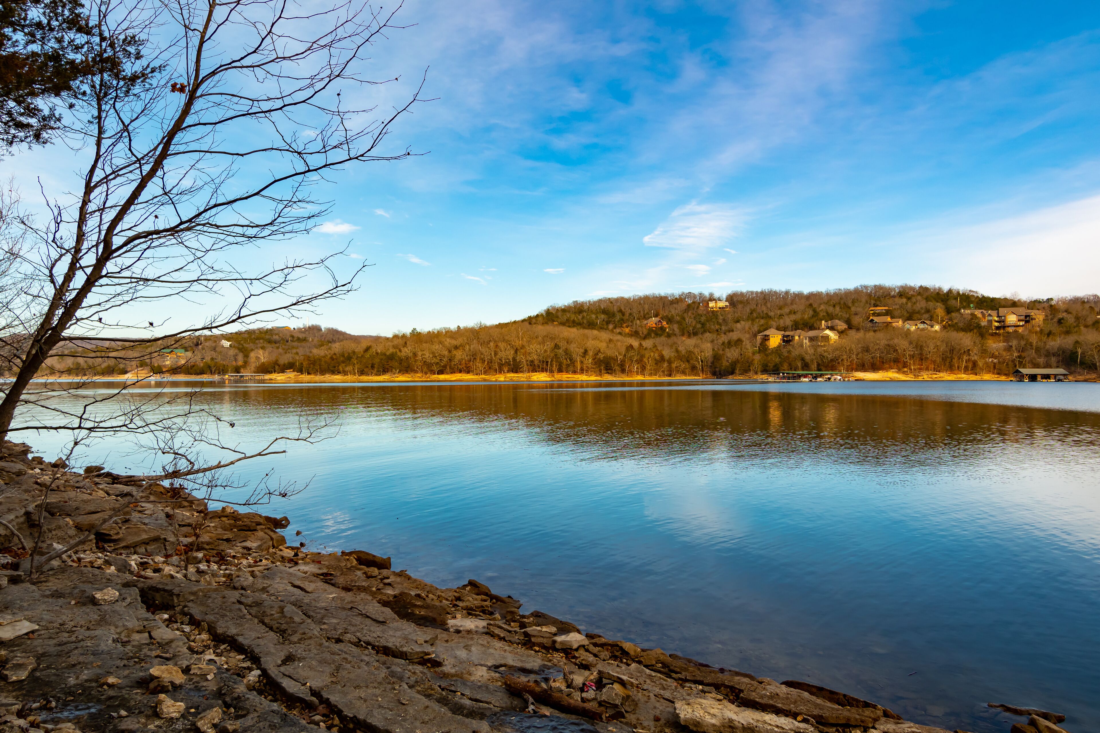 A calm lake with a rocky shoreline and a tree in the foreground.