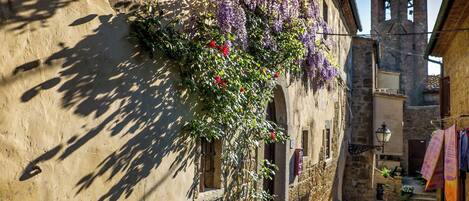 Terrain de lâhĂ©bergement