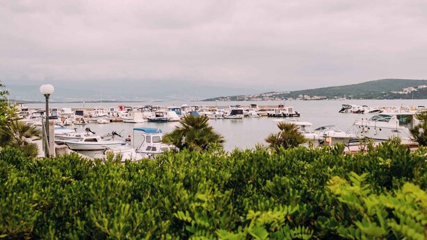 Un port de plaisance où sont amarrés différents types de bateaux, entouré de verdure et sous un ciel nuageux.