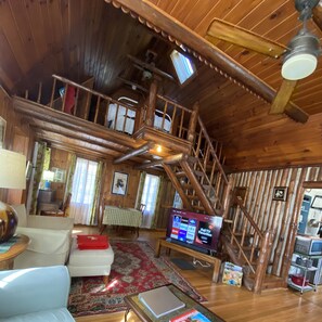 Smart TV, fireplace, books, stereo