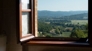 Ein Fenster mit Blick auf eine ländliche Landschaft, darunter Felder und sanfte Hügel in der Ferne.