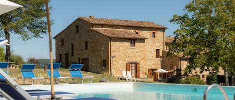 Outdoor pool, sun loungers
