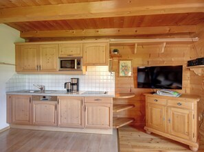Kühlschrank, Mikrowelle, Herdplatte, Geschirrspüler