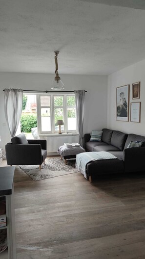 Fernseher, Kamin