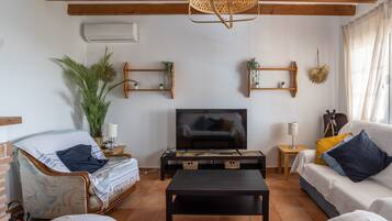 Fernseher, Kamin, DVD-Player