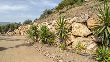 Un camino de tierra con un muro de piedra y plantas de agave.