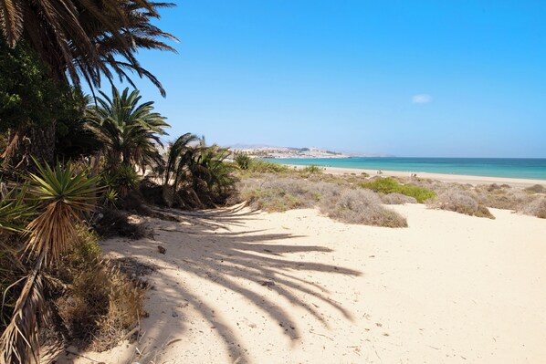 Beach nearby - Vacation Home "Casa Alexis" with Wi-Fi, Terrace & Garden (La lajita)