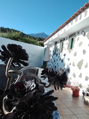 A courtyard with a white wall with stone patterns, a tiled floor, and a potted plant.