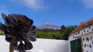Un edificio de fachada blanca y contraventanas verdes, una flor en primer plano y una montaña al fondo.