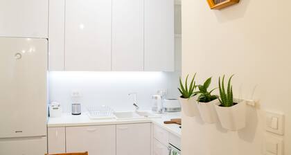 Centrally located apartment