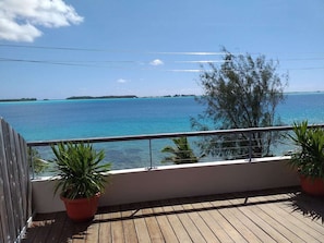 A balcony with a view of the ocean, wooden flooring, and potted plants.