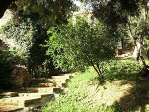 Parco della struttura