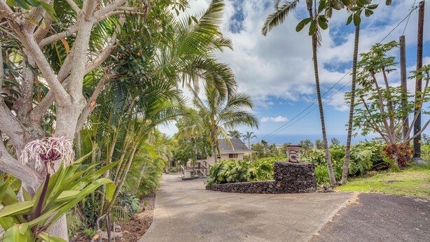 Un quartiere residenziale con vialetto lastricato, muro in pietra e variegata vegetazione tropicale.