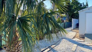 Un sentiero alberato da palme che conduce a un edificio con facciata bianca.