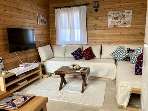 Televisión y chimenea 