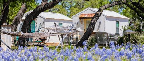 A rustic cabin with a hammock and outdoor seating, surrounded by a field of blue flowers.