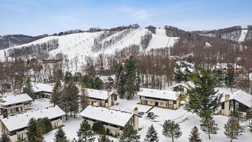 A residential area with modern houses surrounded by snow-covered trees and a ski slope in the background.