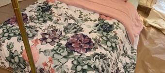 Pineapple Glamping  CAMP GROUND