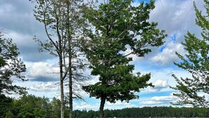 A lakeside picnic area with a wooden table and Adirondack chairs, surrounded by trees and a view of the lake.