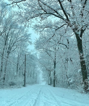 Eine schneebedeckte Straße, gesäumt von kahl stehenden Bäumen.