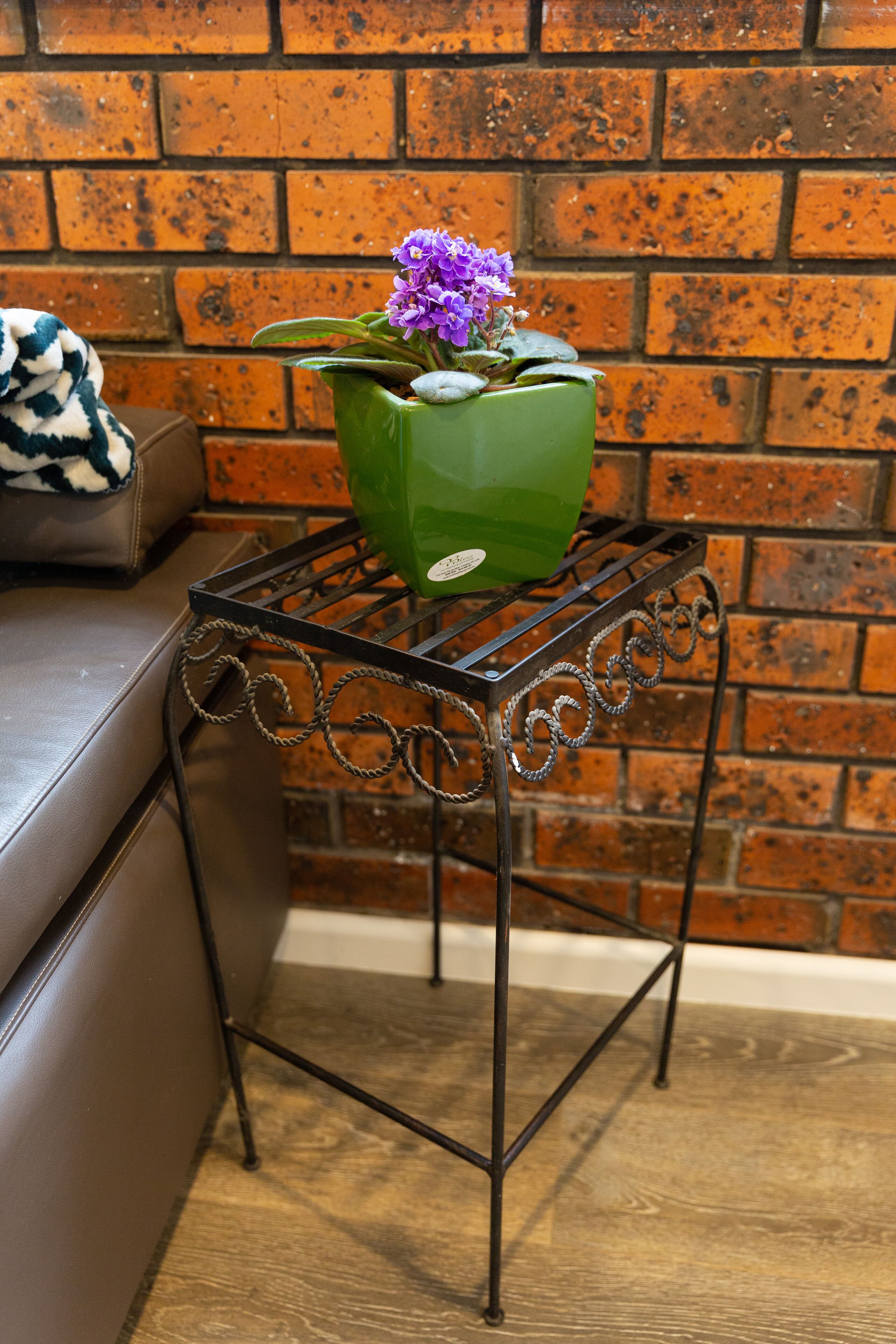 Detached Apartment plus breakfast - historic and elegant — image 3