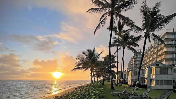A beachfront hotel with palm trees, a sunlit ocean view, and a row of sun loungers. - Luxury Beachfront Condo with Ocean View (Hauula)