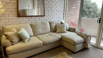 Smart TV, Netflix, books, streaming services